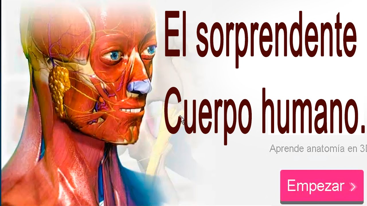 EL CUERPO HUMANO EN 3D
