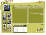 Fabriquemos minerales y rocas