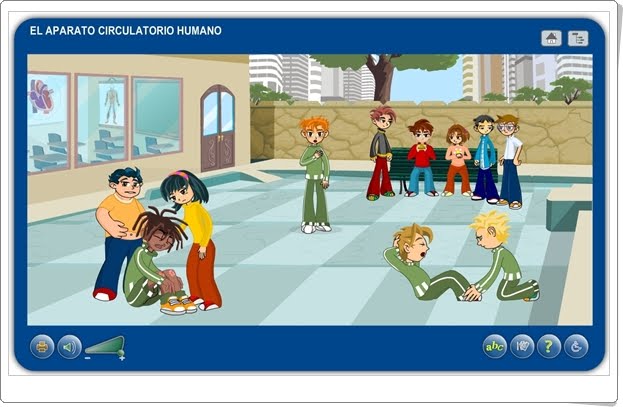 EL APARATO CIRCULATORIO